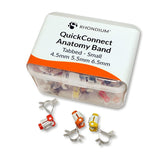 QuickConnect Anatomy Band Mixed Refill